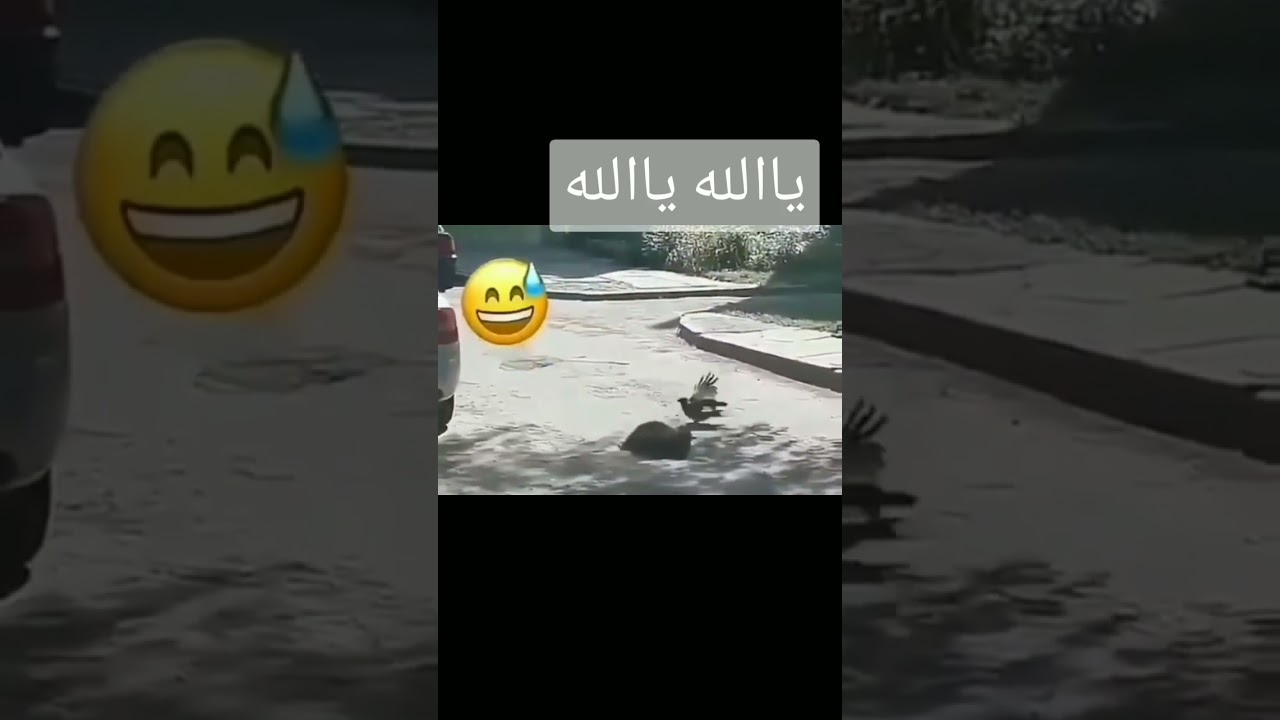 ياالله 