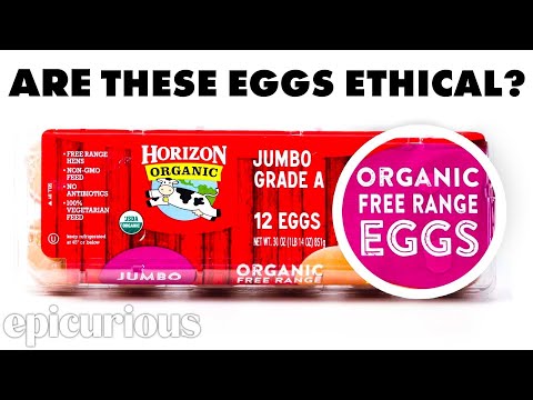 Which Eggs Should You Buy? | Fine Print | Epicurious