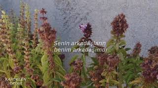 Olivia Rodrigo - Happier Türkçe Çeviri