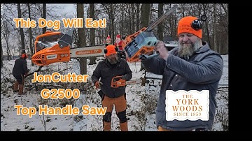 Tiny But Mighty! Holzfforma G2500 Top Handle Chainsaw Echo Clone