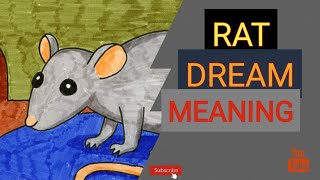 Rat dream meaning | Seeing rat in dream | Islamic dream interpretations