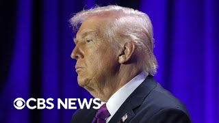 UAE "spy sheikh" bought secret stake in Trump crypto firm, Wall Street Journal reports