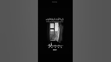و الله يريد أن يتوب عليكم ، للقارئ طارق محمد 🤍😴