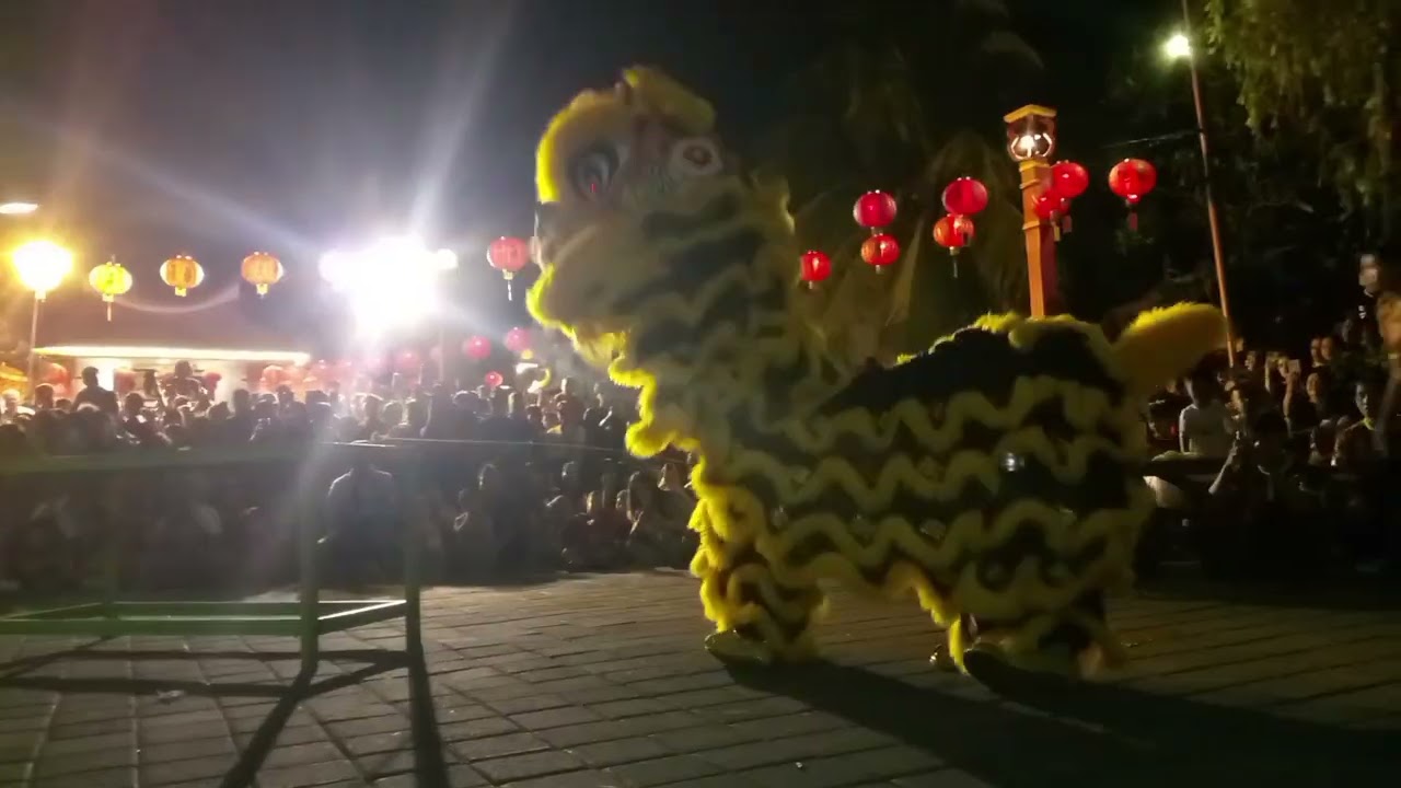Vlog barongsai 2026