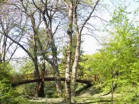 Vidéo: Description et photos des jardins botaniques Nikitsky - Crimée: Yalta