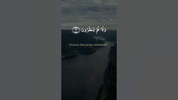ايات بينات من الذكر الحكيم | القاريء محمد طارق | حالات واتس اب دينية قصيرة قران كريم تلاوة خاشعة