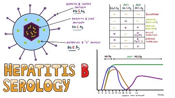 Serologi Hepatitis B YANG MUDAH - Cara Menafsirkan Serologi Hepatitis B dalam waktu kurang dari 5...