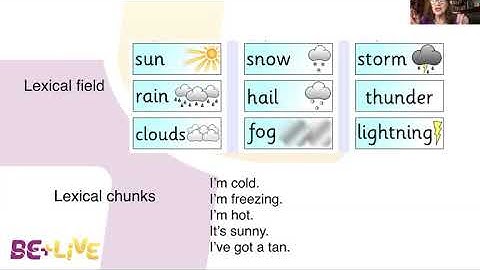 The Importance of LEXIS for Language Acquisition