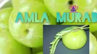 Amla murabba  with Jaggery Recipe (Gooseberry Murabba)