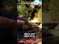 Exploring Hidden Bedrock Mortars Hike - Native History in Thousand Oaks   SHORT