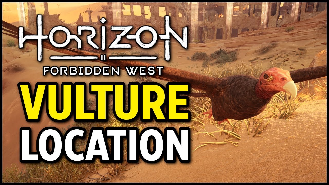 Is Horizon Forbidden West Coming to PC? - Cultured Vultures