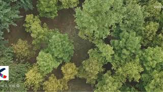 Drag201M Musr Made In Malaysia Padu