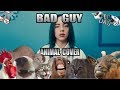 Billie Eilish - Bad Cat (Animal Cover) [Only_Animal_Sounds]