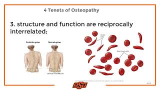 The 5Ws and a H of Osteopathic Recognition