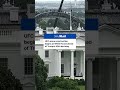 White House begins preparations for UFC event for Trump's 80th birthday