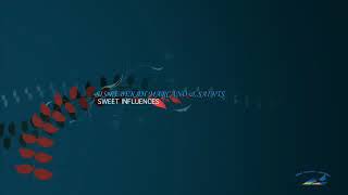Sweet influence (Third exodus assembly)