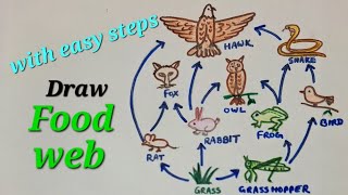 Food web drawing easy, how to draw food web easy, draw food web easy, food web drawing 3