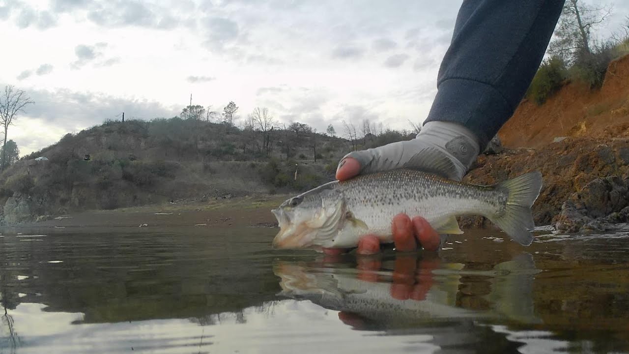 Cold Weather Bass Fishing from the Bank (Lake Berryessa) Bass Manager