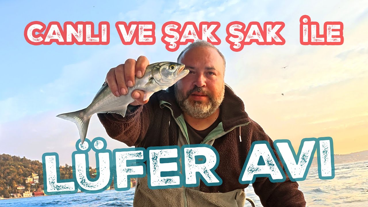 İstanbul Boğazı’nda Lüfer Avı | Şakşak ve Canlı Yem ile Efsane Av!