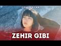 Cover Alma Zehir Gibi Gecelerim öyle Zor Zor Geçiyor Deep House Remix 