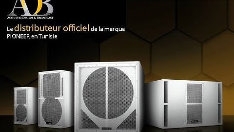 Pioneer Enceinte amplifiée avec Powersoft intégrée de 1200W .RMS