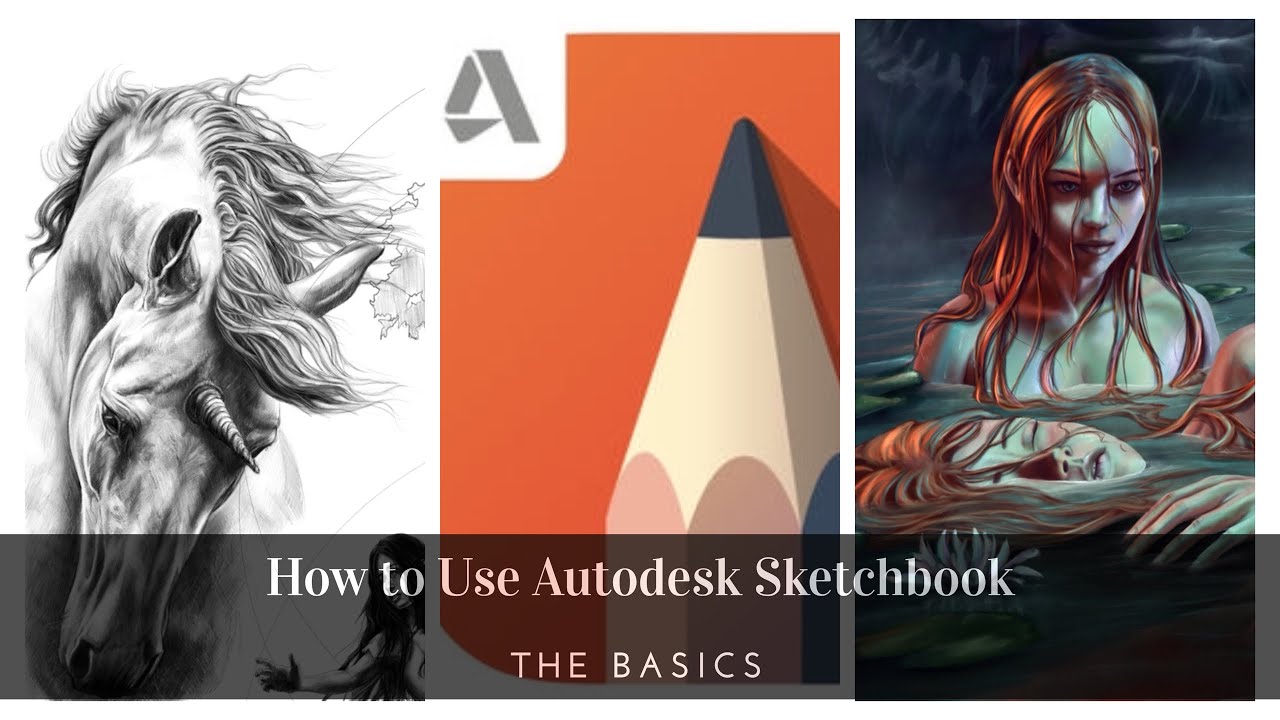 Featured image of post Sketchbook Tutorial Ipad / In this tutorial i will cover the basics of how i draw with symmetry in autodesk sketchbook app on the ipad pro using apple pencil.