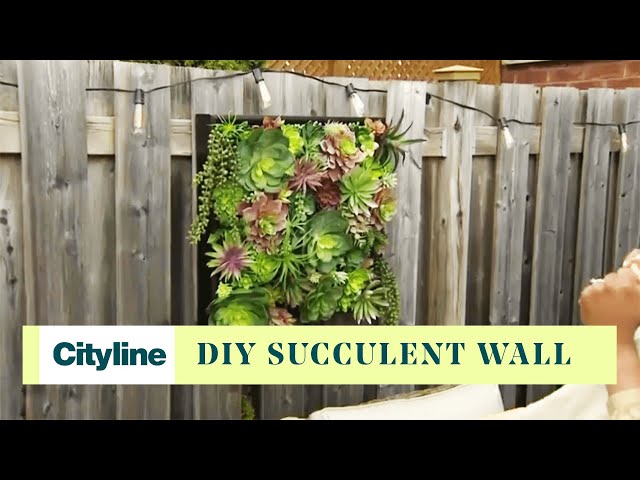 A DIY succulent wall tutorial - YouTube
