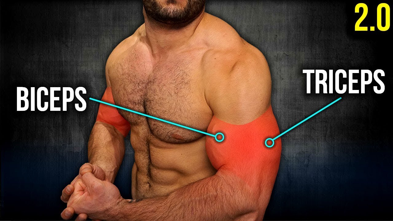 7min Home BICEPS and TRICEPS Workout 2.0 (DUMBBELL ONLY ARM WORKOUT!!) 