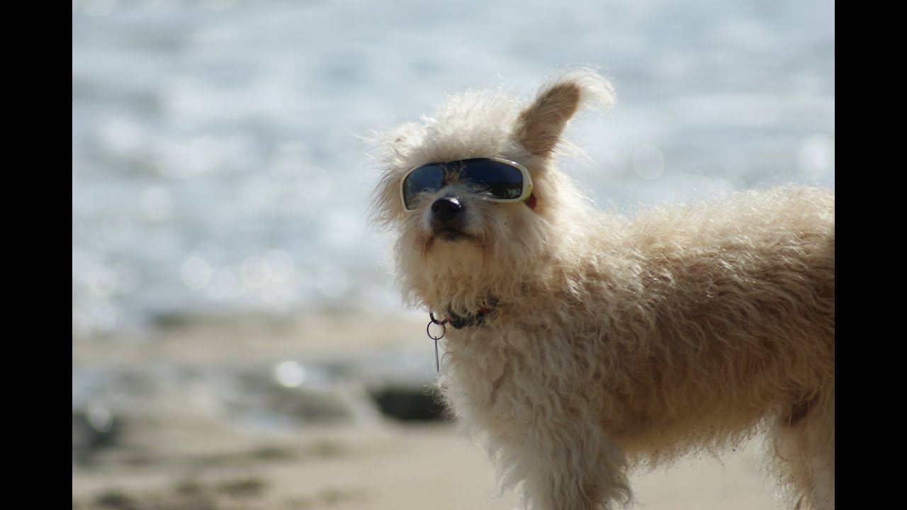 cabarete 2013 dominican republic YouTube