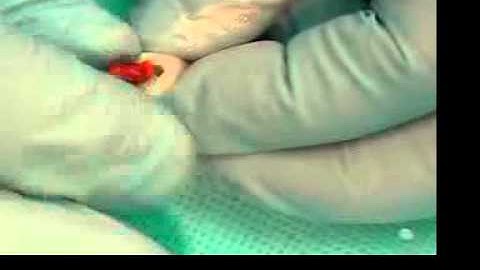 Video 02 Cleaning and shaping in a plastic tooth Part 1