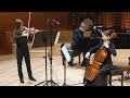 Beethoven – Piano Trio in C minor, Op. 1 No. 3, Prestissimo