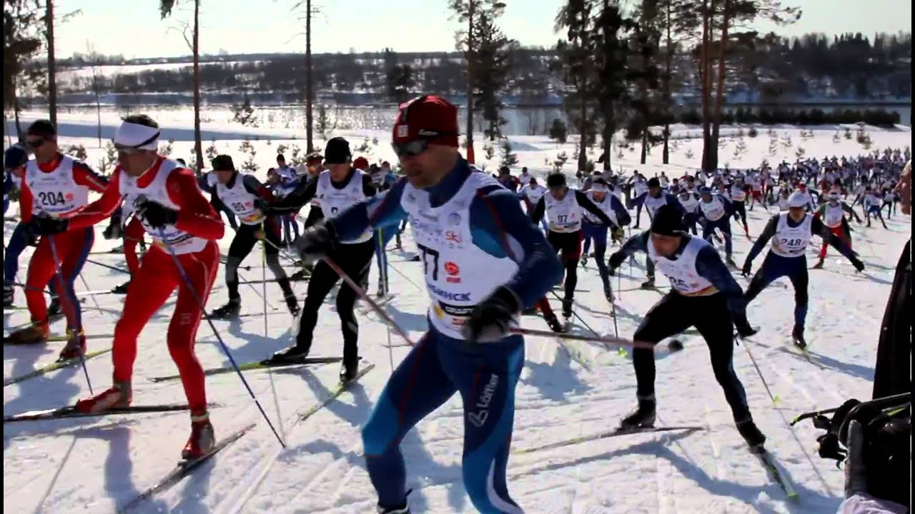Дёмино Рыбинск лыжероллерная трасса