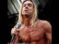 Iggy Pop & Stooges - The Passenger(Live)