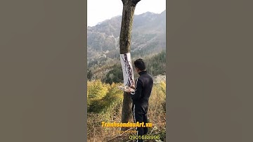 Vẽ tranh 3D cực đỉnh trên thân cây