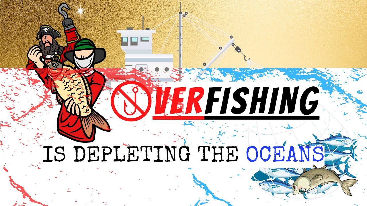 Overfishing Is Depleting our Oceans