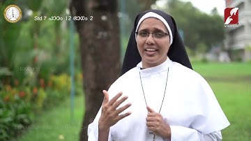 DOMUS CAT | STD 7 & 8 | CHAPTER 12 | PART 2 | SUNDAY CATECHISM