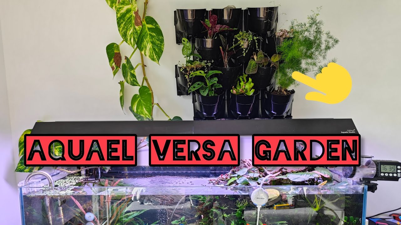 Aquael Versa Garden - Installation und Bepflanzung