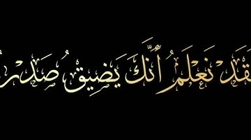 القران الكريم 329