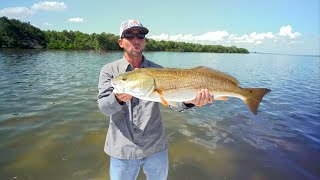 Flats Fishing Tampa Bay Redfish Schools  BIG REDS ONLY!