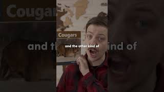 WTF is that Euchre hand
This song is called The U.P. by Scoochie Boochie.
Listen on Spotify etc.
Watch the full music vid on Scoochie Boochies YouTube channel WTF is that Euchre hand