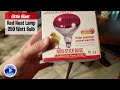 Little giant red heat lamp 250 watt bulb