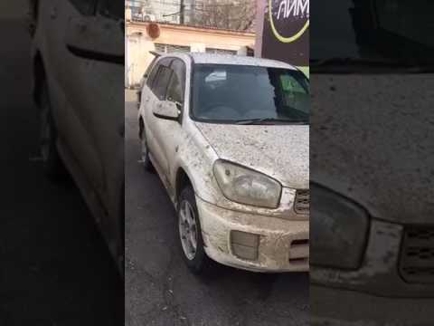Помой мою машину