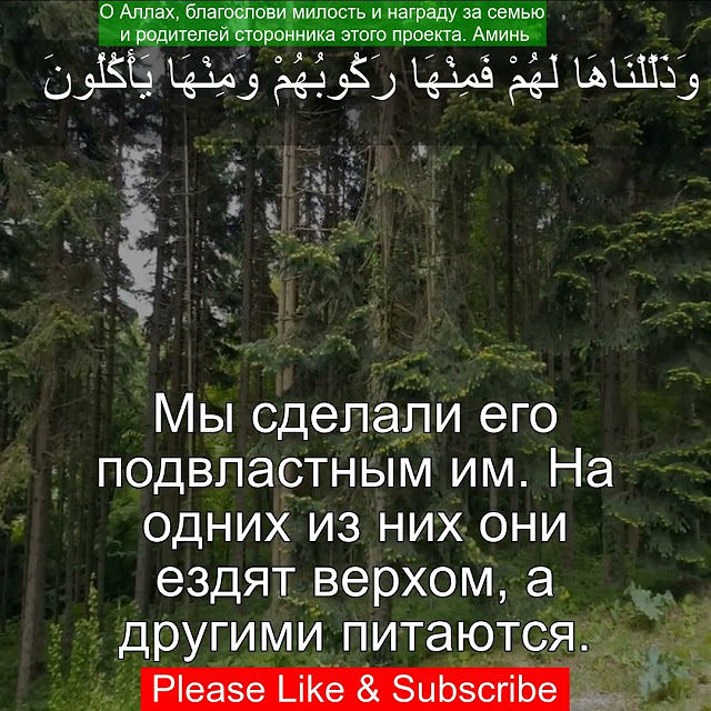 Коран Сура Ясин | 36:72 | Чтение Корана с русским переводом | Quran ...