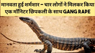 This is Shame on Humanity - How Four People Gang Raped a Bengal Monitor Lizard in Maharashtra