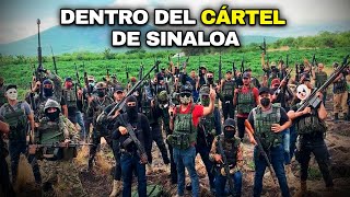 El Cártel de Sinaloa desde adentro: así funciona la organización criminal más PODEROSA del mundo