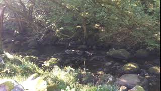 Ireland, The Wicklow Way - 20170902/2nd day