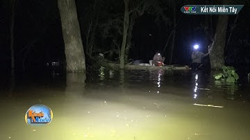 ĐÊM MƯU SINH TRÊN ĐỒNG NƯỚC NỔI