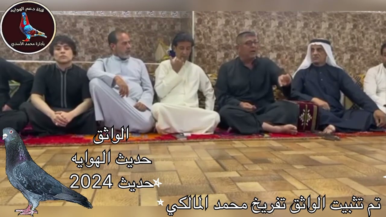 الواثق تفريخ العراق وتفريخ محمد المالكي الله يوفق اخوانه الهواة