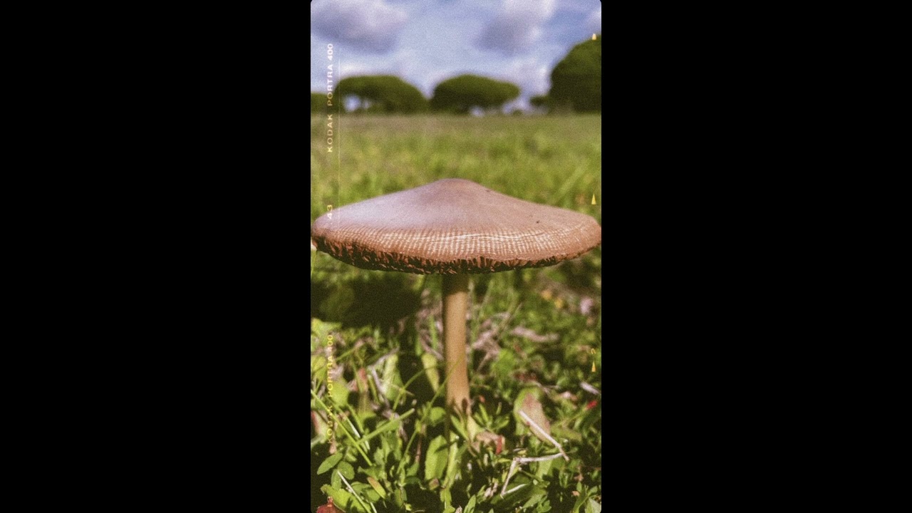 Ketapasando - Marina Lima - Progressive House