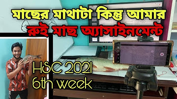 রুই মাছ | HSC 2021 6th week Biology Assignment | number 4 | Dr. Fahad | Dhaka Medical College | Rohu